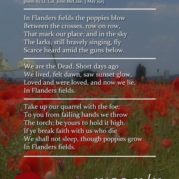 Meet your Posher, Lorna - Picture 1 of 1